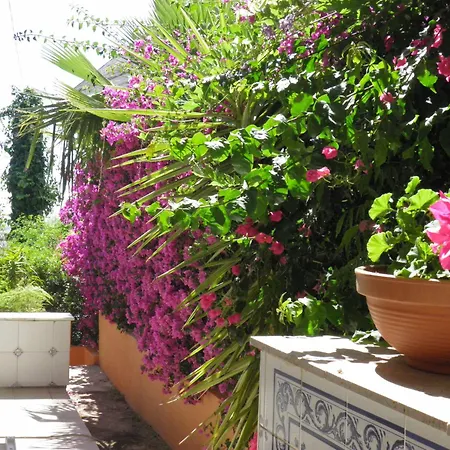 La Torreta Bed & Breakfast Corbera de Alcira