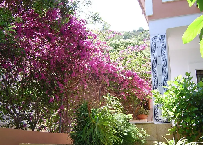 La Torreta Corbera de Alcira